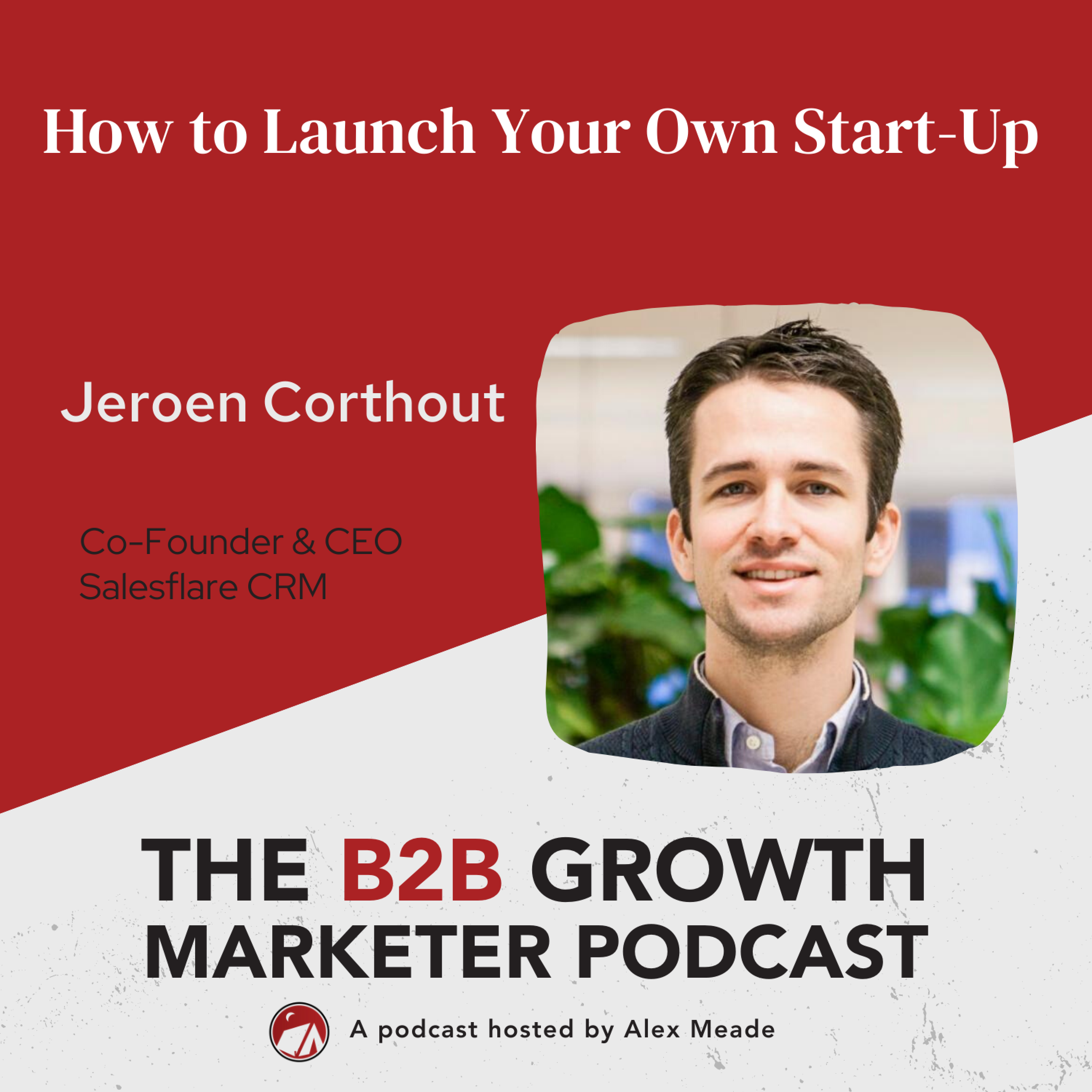The B2B Growth Marketer