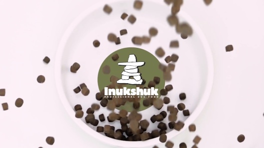 Play Video: Learn More About Inukshuk From Our Team of Experts
