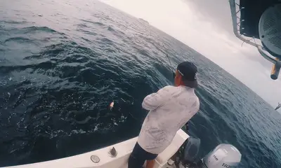Panama City Report Video 0