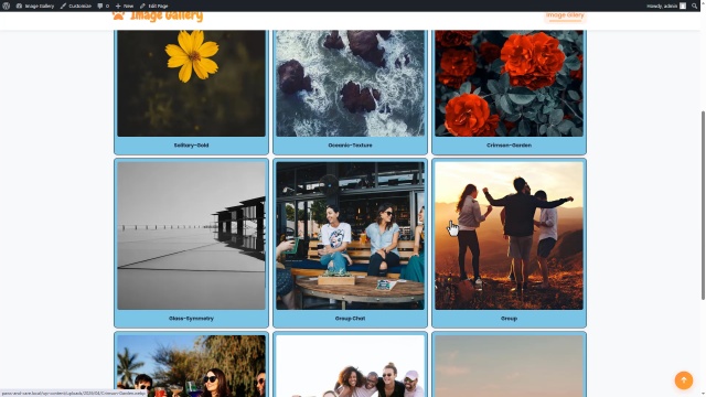 How to Use Image Gallery Premium in WordPress