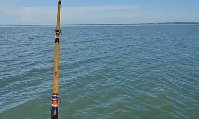 WE GOT A TARPON