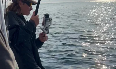 Dennis Report Video 0