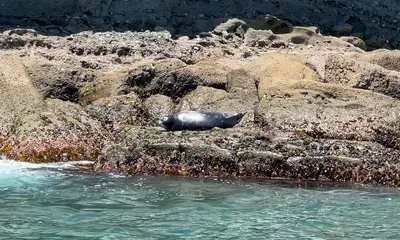 Beautiful day at Coronado Islands!  