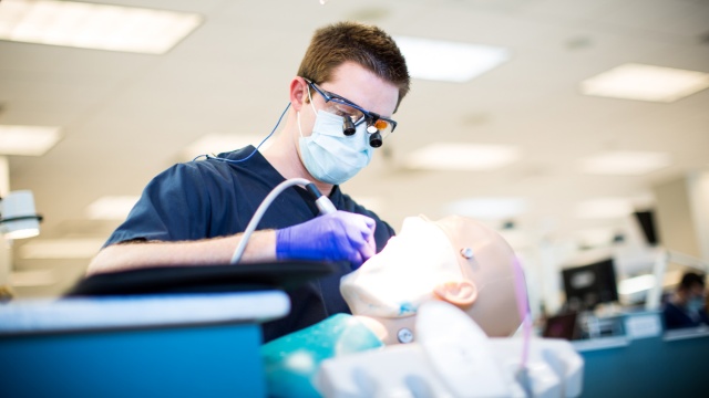 Arizona School Of Dentistry And Oral Health Acceptance Rate -  CollegeLearners.com