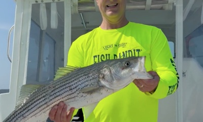 Falmouth Report Video 0