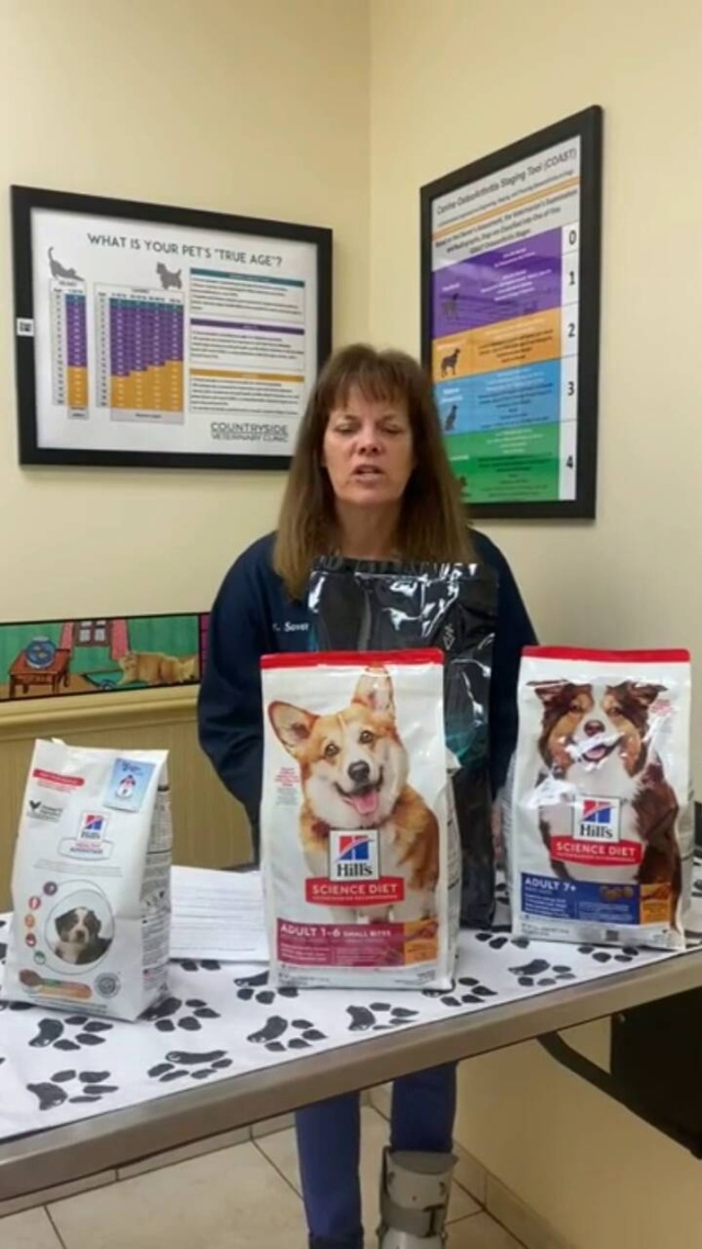 Can Changing Your Dogs Food Make Them Sick