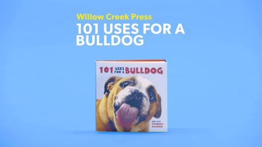 Play Video: Learn More About Willow Creek Press From Our Team of Experts