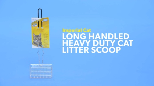 Play Video: Learn More About Imperial Cat From Our Team of Experts