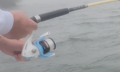 Port Orange Report Video 0