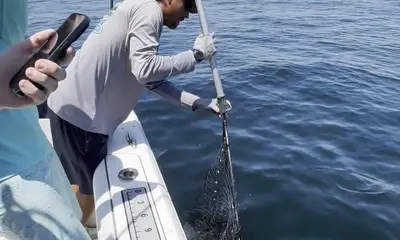 Pensacola Report Video 0