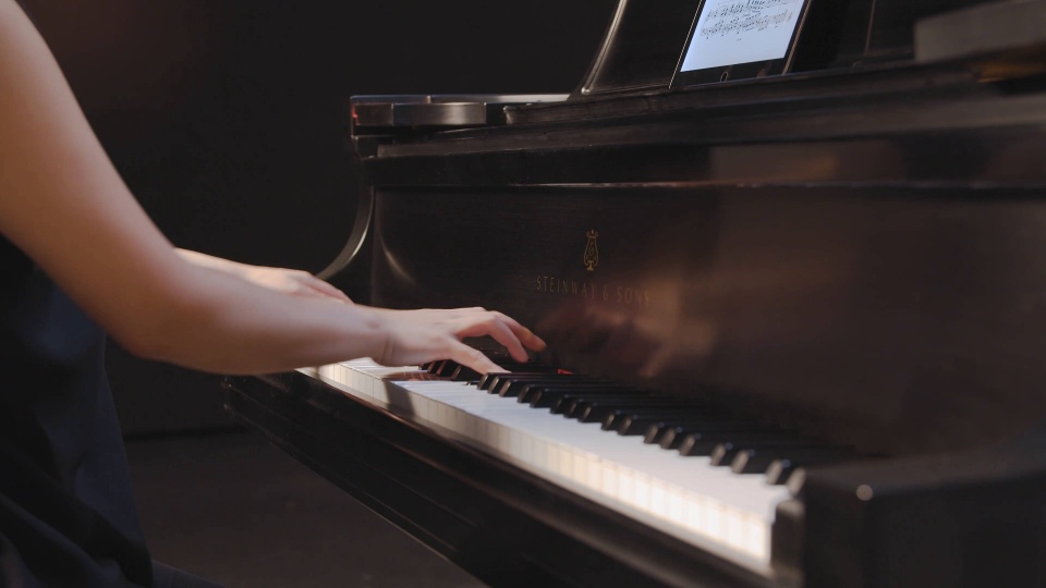 1995 Steinway Grand D