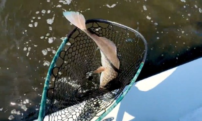 Port Richey Report Video 0