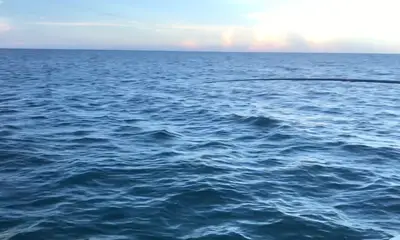 Miami Report Video 2