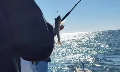 What a catch, that captain!! 