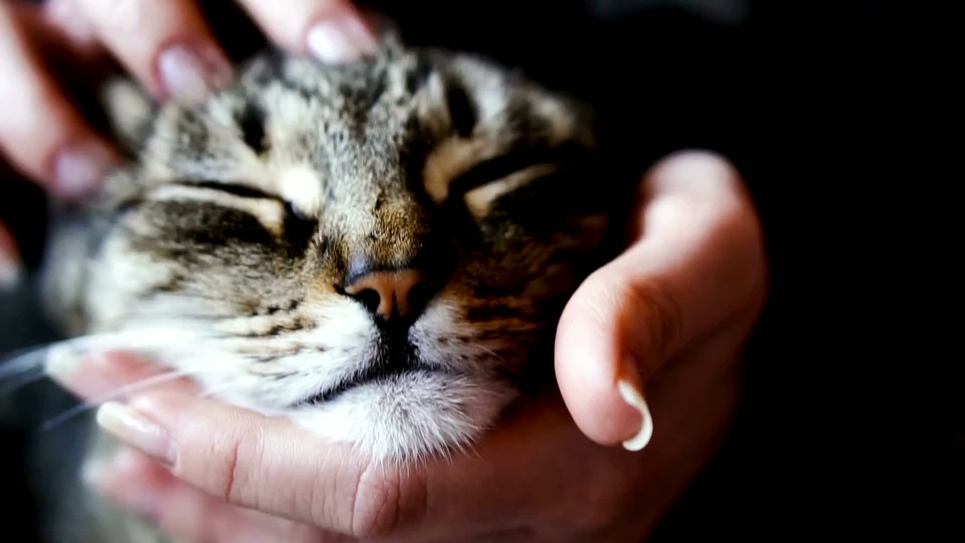 The Art of Calm Amid the Chaos