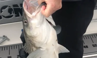 South Amboy Report Video 0