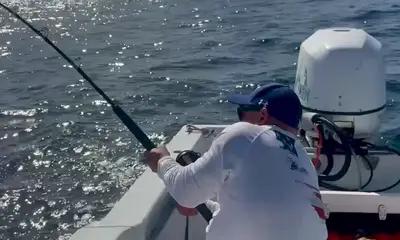 San Jose del Cabo Report Video 0