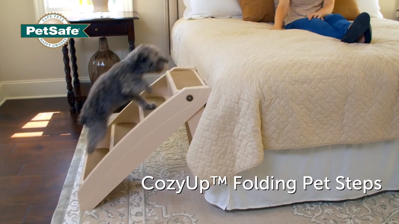 Chewy dog outlet steps for bed