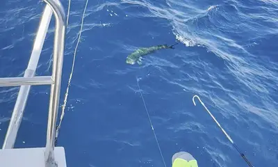 Cabo San Lucas Report Video 0