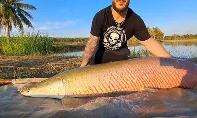 Bangkok Report Video 1