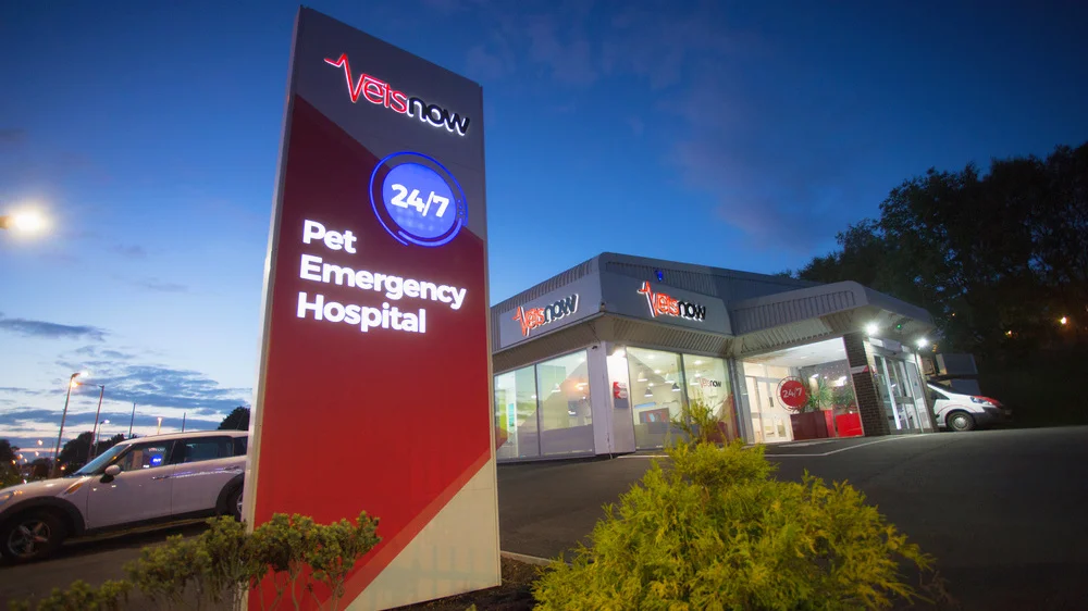 24/7 Pet Emergency Veterinary Hospitals | Vets Now