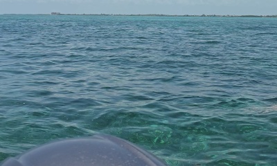 Epic half-day fishing in crystal-clear Belize wate