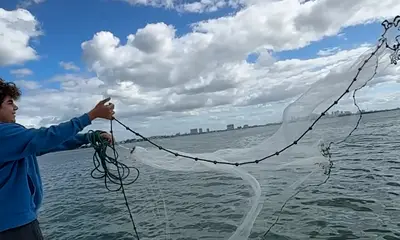 North Miami Report Video 0
