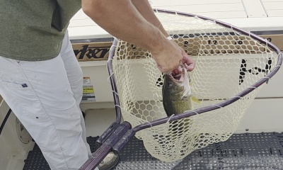 Reel Hooked Up Sportfishing, best fishing ever!!