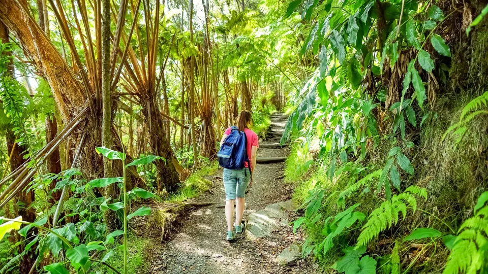 Discover the Thrill of Adventurous Hikes on the Big Island