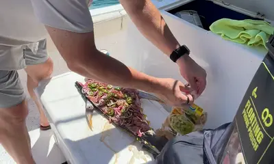 Costa Rica Video Report 0
