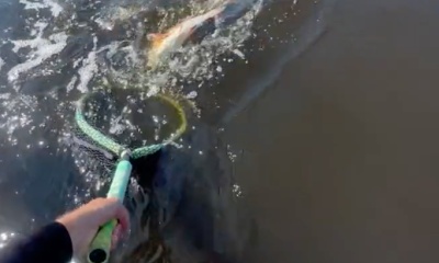 Zeus slays redfish