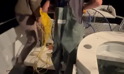 Los Angeles Report Video 1