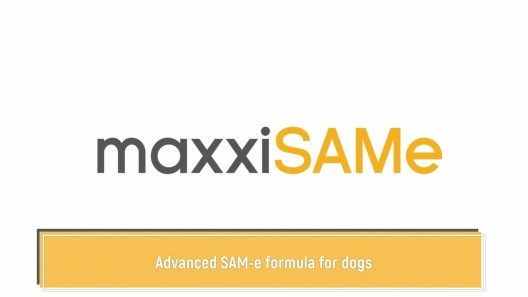 Play Video: Learn More About maxxipaws From Our Team of Experts