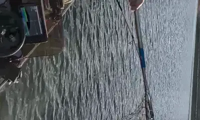 I looked at it less of a charter and more of making a bond with some friends