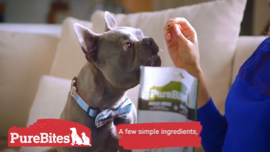 Play Video: Learn More About PureBites From Our Team of Experts