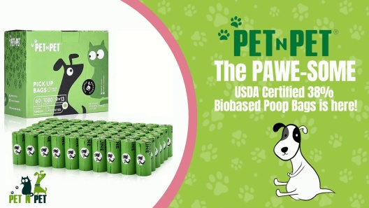 Play Video: Learn More About PET N PET From Our Team of Experts