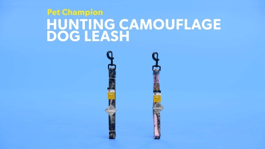 Play Video: Learn More About Pet Champion From Our Team of Experts