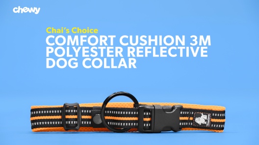 Extra Small Louis Vuitton Cat Collar - Royal Dog Collars - Handmade,  Premium, Designer Inspired