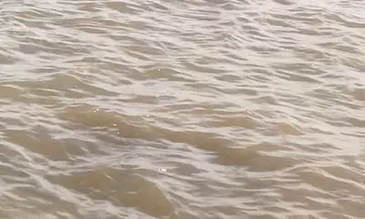 Venice Report Video 0