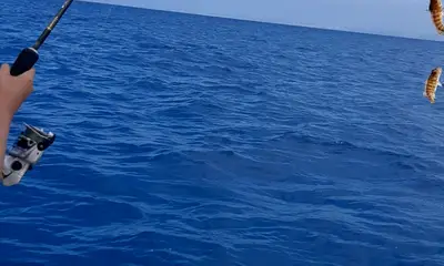 Castellammare Del Golfo Report Video 0