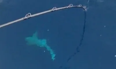 Pompano Beach Report Video 0