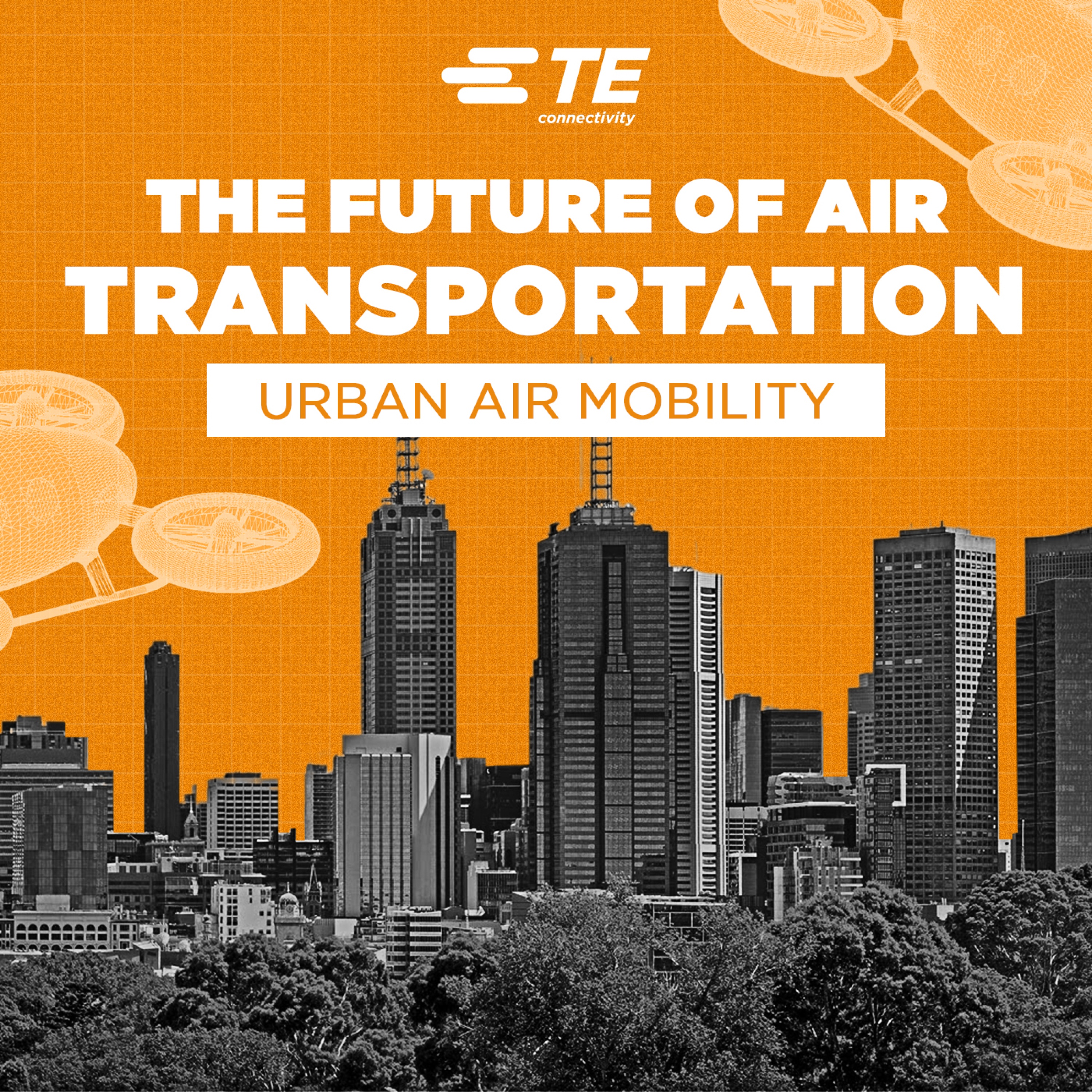 The Future of Air Transportation