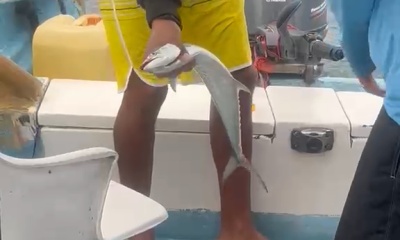 Great Fishing!