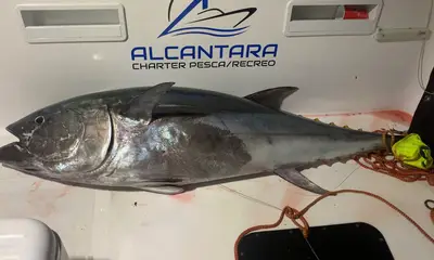 Chiclana de la Frontera Report Video 0