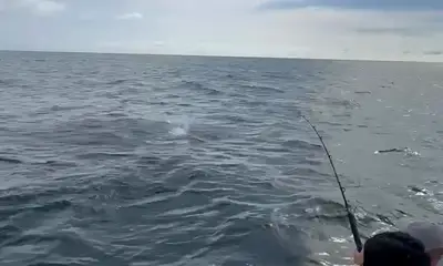 Excelent Fishing day