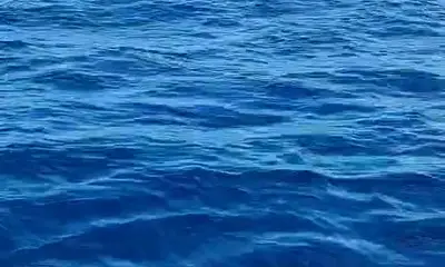 Full day with Captain Andy