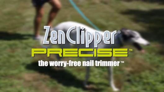 Play Video: Learn More About Zen Clipper From Our Team of Experts