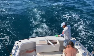 Nags Head Report Video 0