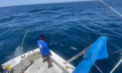 Cabo San Lucas Report Video 0