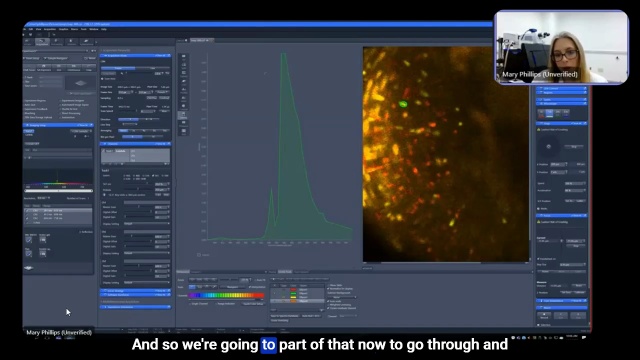 In vivo, spectral imaging through a GRIN lens